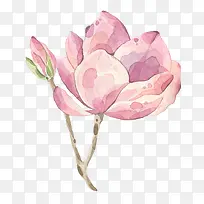 粉色花朵-空若网 粉色花朵-空若网