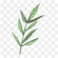 ˮ��װ��Ҷ��ʸ��Ԫ��-������