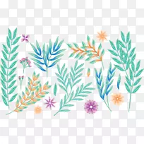 植物叶画花瓣画植物-空若网 植物叶画花瓣画植物-空若网