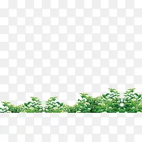 ÇàÇàÂ̲Ý-¿ÕÈôÍø ÇàÇàÂ̲Ý-¿ÕÈôÍø