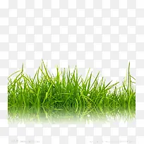 青青草地背景图片-空若网 青青草地背景图片-空若网
