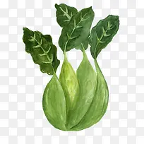 ��ͨ�ֻ��߲�װ�κ������-������