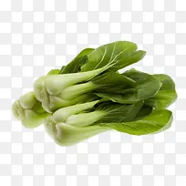 新鲜蔬菜-空若网 新鲜蔬菜-空若网