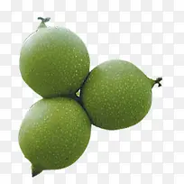 Èý¿ÅÉúºËÌÒ-¿ÕÈôÍø Èý¿ÅÉúºËÌÒ-¿ÕÈôÍø