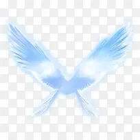 蓝色的翅膀-空若网 蓝色的翅膀-空若网