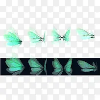 翅膀 透明翅膀-空若网 翅膀 透明翅膀-空若网