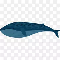 ������Ь-��ɫ��������-������