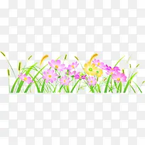 格桑花和小草-空若网 格桑花和小草-空若网