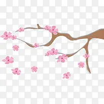 樱花树枝-空若网 樱花树枝-空若网