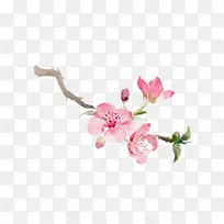 粉红色的桃花枝-空若网 粉红色的桃花枝-空若网