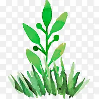 蓝色水彩春季小草-空若网 蓝色水彩春季小草-空若网