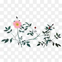 手绘小野花-空若网 手绘小野花-空若网