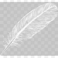 白色飘落羽毛-空若网 白色飘落羽毛-空若网