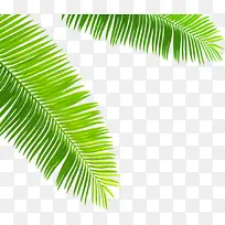 ��Ӱ��ɫ����ҶЧ��ͼ-������