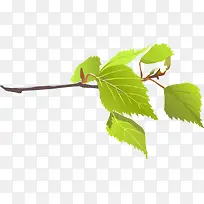 一抹绿-空若网 一抹绿-空若网