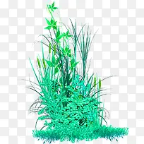 绿草-空若网 绿草-空若网