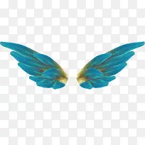 羽毛翅膀-空若网 羽毛翅膀-空若网