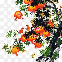 红色石榴-空若网 红色石榴-空若网