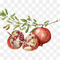 红色石榴-空若网 红色石榴-空若网