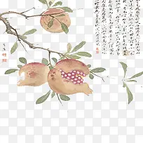 石榴-空若网 石榴-空若网