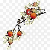 石榴-空若网 石榴-空若网