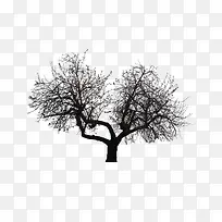 分叉萧条大树-空若网 分叉萧条大树-空若网