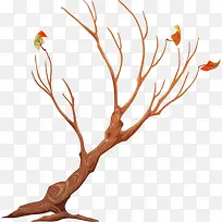 秋天的老树-空若网 秋天的老树-空若网