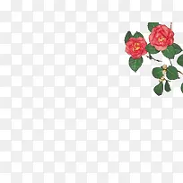 创意合成摄影红色的植物-空若网 创意合成摄影红色的植物-空若网