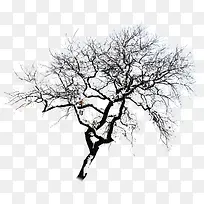 在雪中的树枝-空若网 在雪中的树枝-空若网