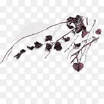 树枝-空若网 树枝-空若网