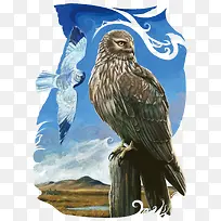 ʸ��ˮ����ӥ-������