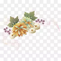 ������-�ջ�-������