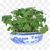 ͭǮ�ݾӼ�װ��ֲ��-������