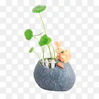 �Ӽ�ֲ��ͭǮ��-������