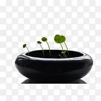 ����ͭǮ���ز�����ز��������-������