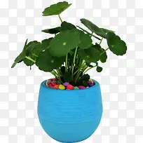 °ì¹«ÊÒ×°ÊÎÅè¾°ÍÇ®²Ý-¿ÕÈôÍø °ì¹«ÊÒ×°ÊÎÅè¾°ÍÇ®²Ý-¿ÕÈôÍø