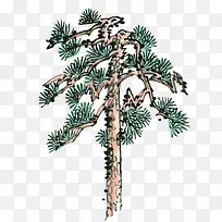 手绘松树png大图-空若网 手绘松树png大图-空若网