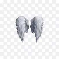 剪贴画-天使翅膀-空若网 剪贴画-天使翅膀-空若网