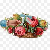 �ֻ滨ͼ���ֻ滨��-������