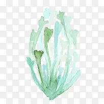 ˮ�ʲ�ֲ�ﺣ��-������