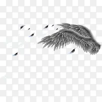 ÌìèÌÔ±¦ÄÐÉñ½ÚÔªËØ³á°ò-¿ÕÈôÍø ÌìèÌÔ±¦ÄÐÉñ½ÚÔªËØ³á°ò-¿ÕÈôÍø