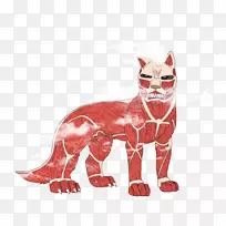 ���ס�Ү������������������ػ��ǶԾ��˵Ĺ���-������