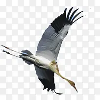 ������Ӱ���߷���ĵ�����-������