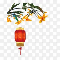 ��ٻ�����֦���ҵĵ���-������