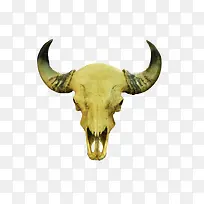 山羊角动物制品摆件-空若网 山羊角动物制品摆件-空若网