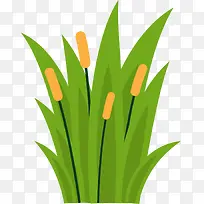 绿色春季芦苇小草-空若网 绿色春季芦苇小草-空若网