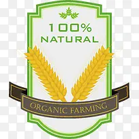 创意小麦种植设计-空若网 创意小麦种植设计-空若网