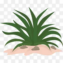 仙人草沙丘-空若网 仙人草沙丘-空若网