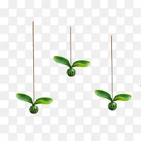 树丫漂浮元素-空若网 树丫漂浮元素-空若网