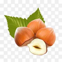 手绘坚果板栗-空若网 手绘坚果板栗-空若网